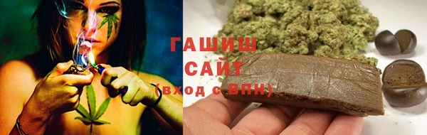 ешки Аркадак