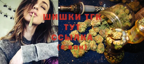 ешки Аркадак