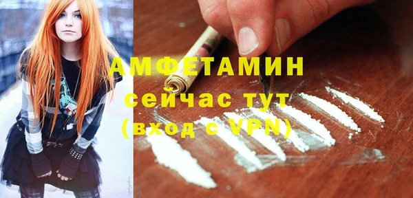 сатива Балахна