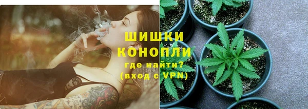 сатива Арсеньев