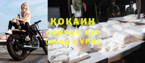 сатива Балахна
