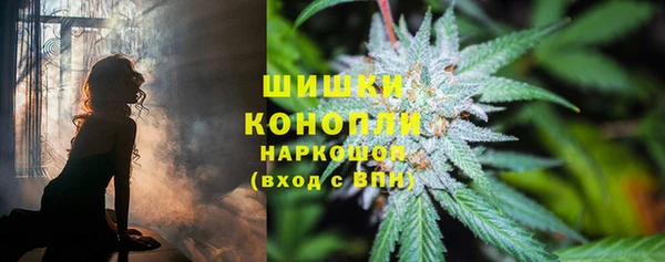сатива Балахна