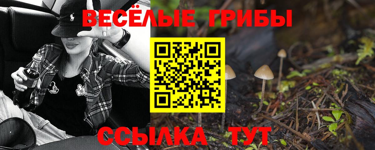 Псилоцибиновые грибы прущие грибы  Вход с VPN  Губаха 
