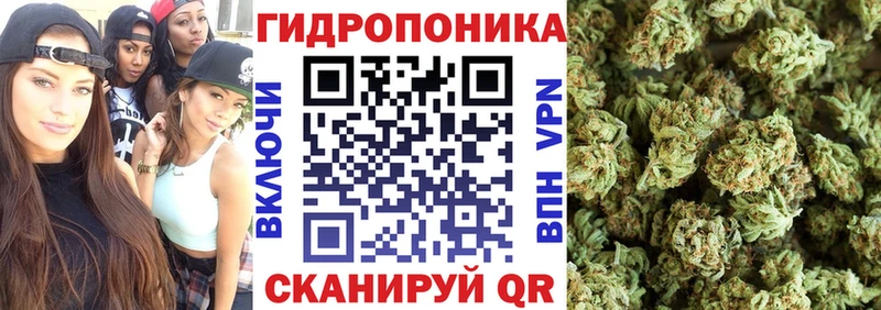 Бошки Шишки White Widow  Губаха 